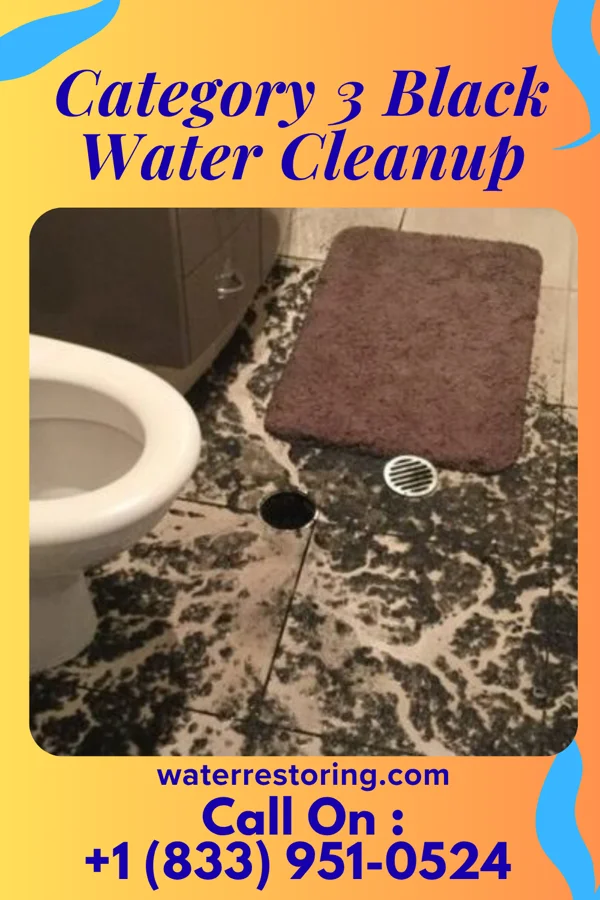 Category 3 Black Water Cleanup in Powells Crossroads, TN