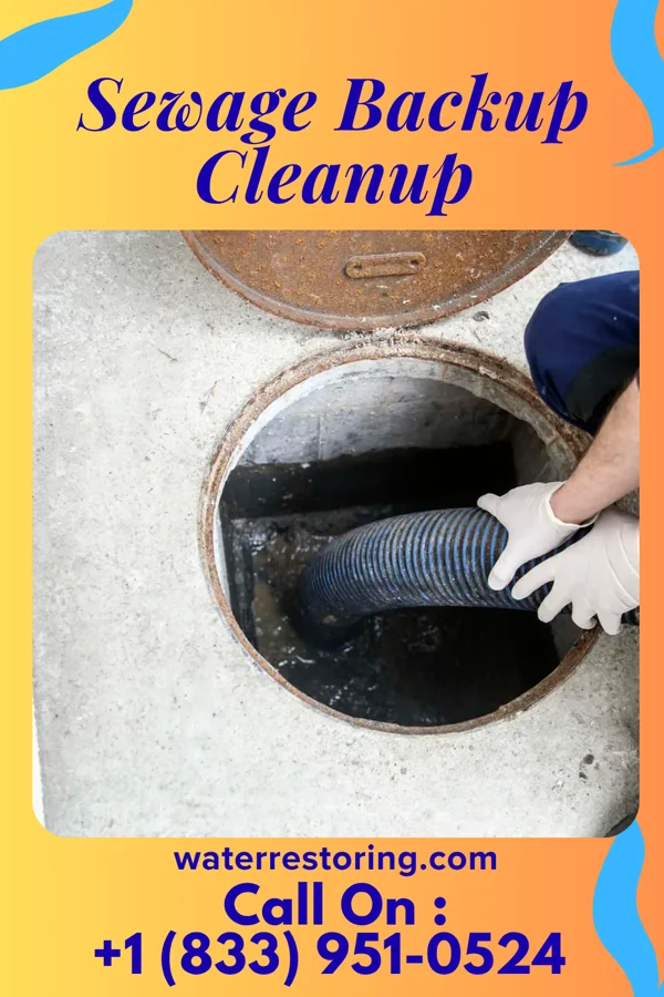 Sewage Backup Cleanup in Powells Crossroads, TN