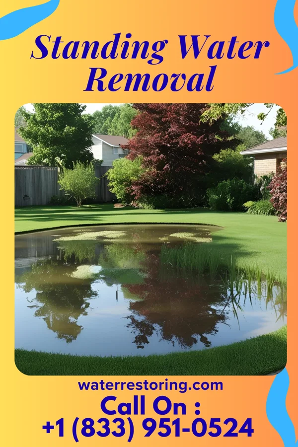 Standing Water Removal in Powells Crossroads, TN